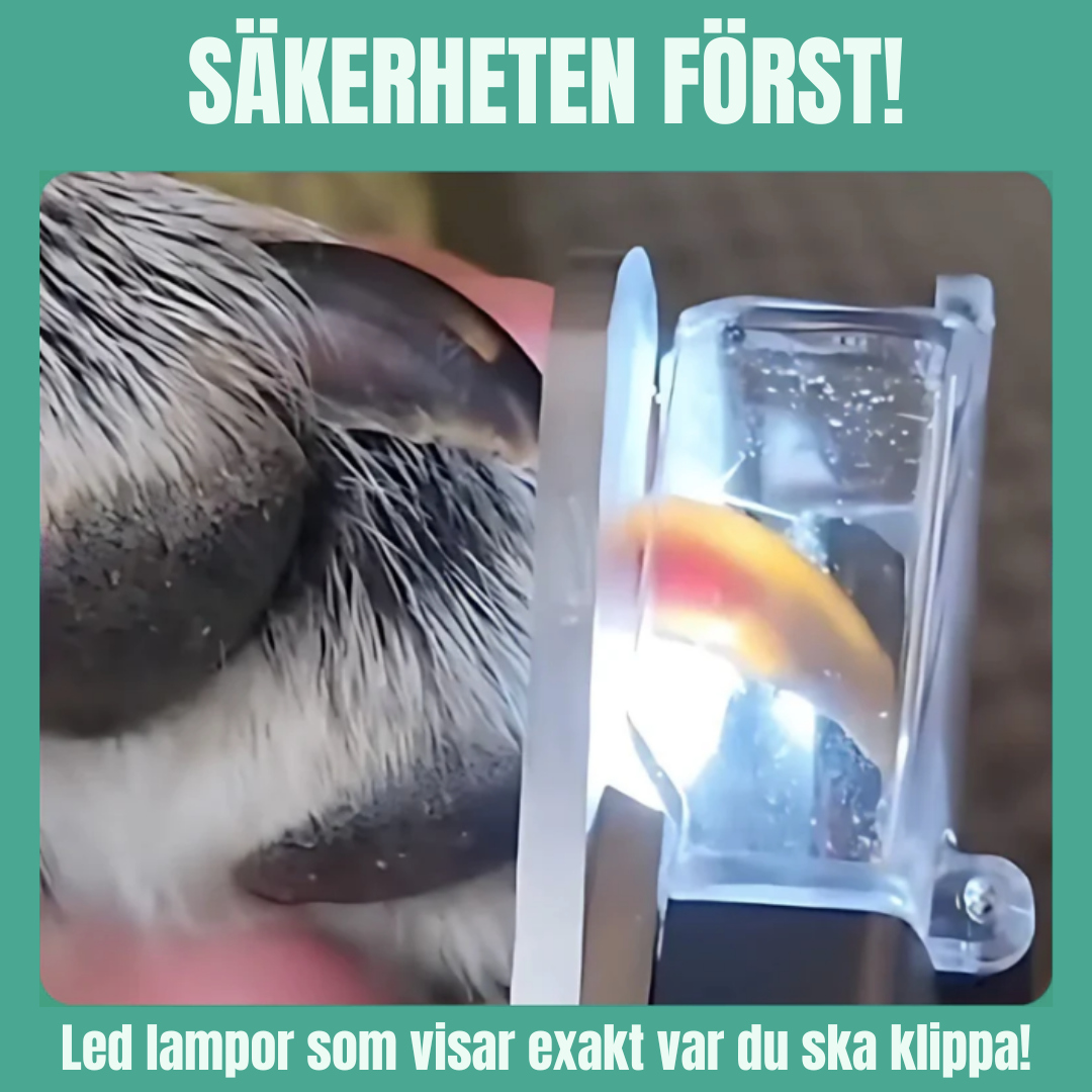 KloKoll - Trygg kloklippning hemma, varje gång