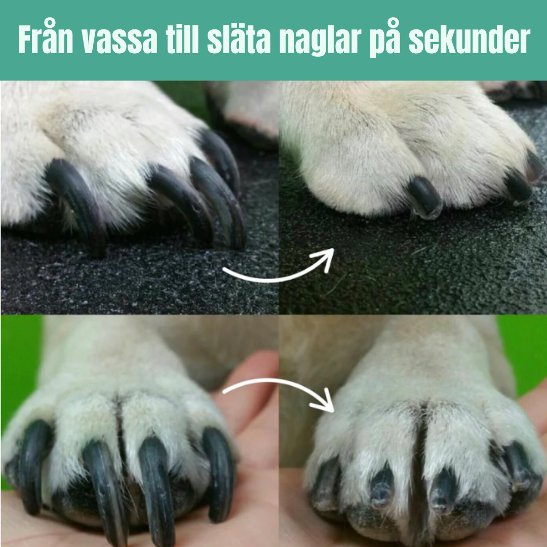 KloKoll - Trygg kloklippning hemma, varje gång
