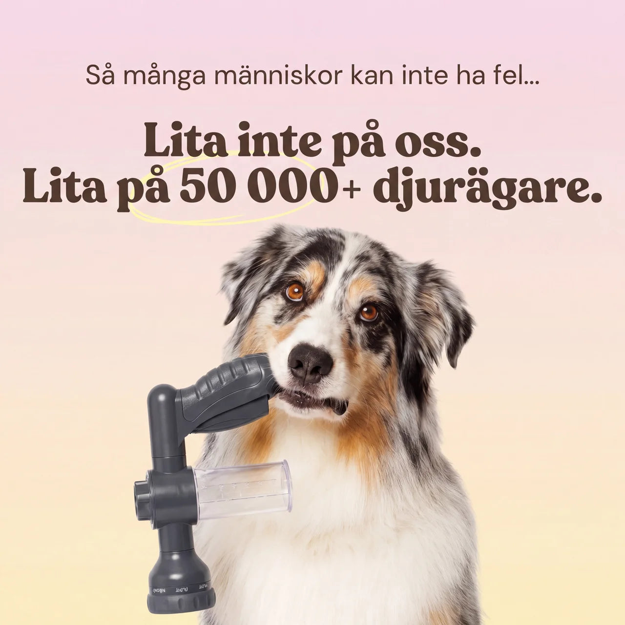 GroomGun